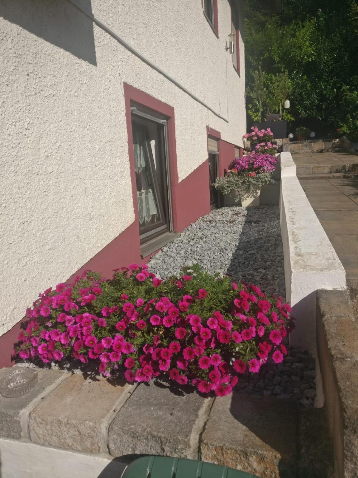 Apartments In Behringersmuehle Goessweinstein Dış mekan fotoğraf